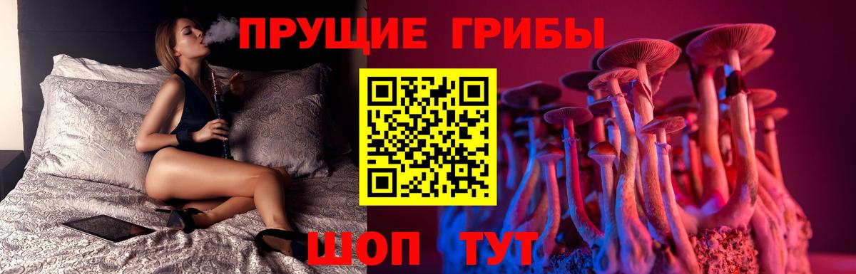 Ярцево  Галлюциногенные грибы Psilocybe  Вход с VPN 
